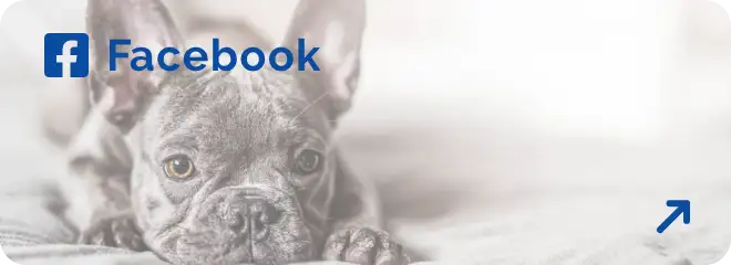 facebookを開くボタン