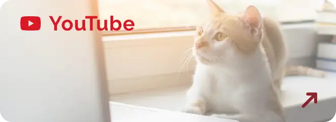 facebookを開くボタン